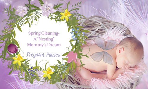 Spring Cleaning: A “Nesting” Mommy’s Dream